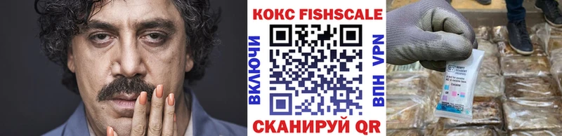 как найти наркотики  Бакал  Cocaine 98% 