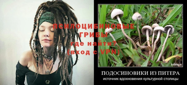 амф Алзамай